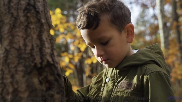 Этот клип - как любовное письмо, написанное вселенной! - Clavecin -- Anne Laplantine -- Padon