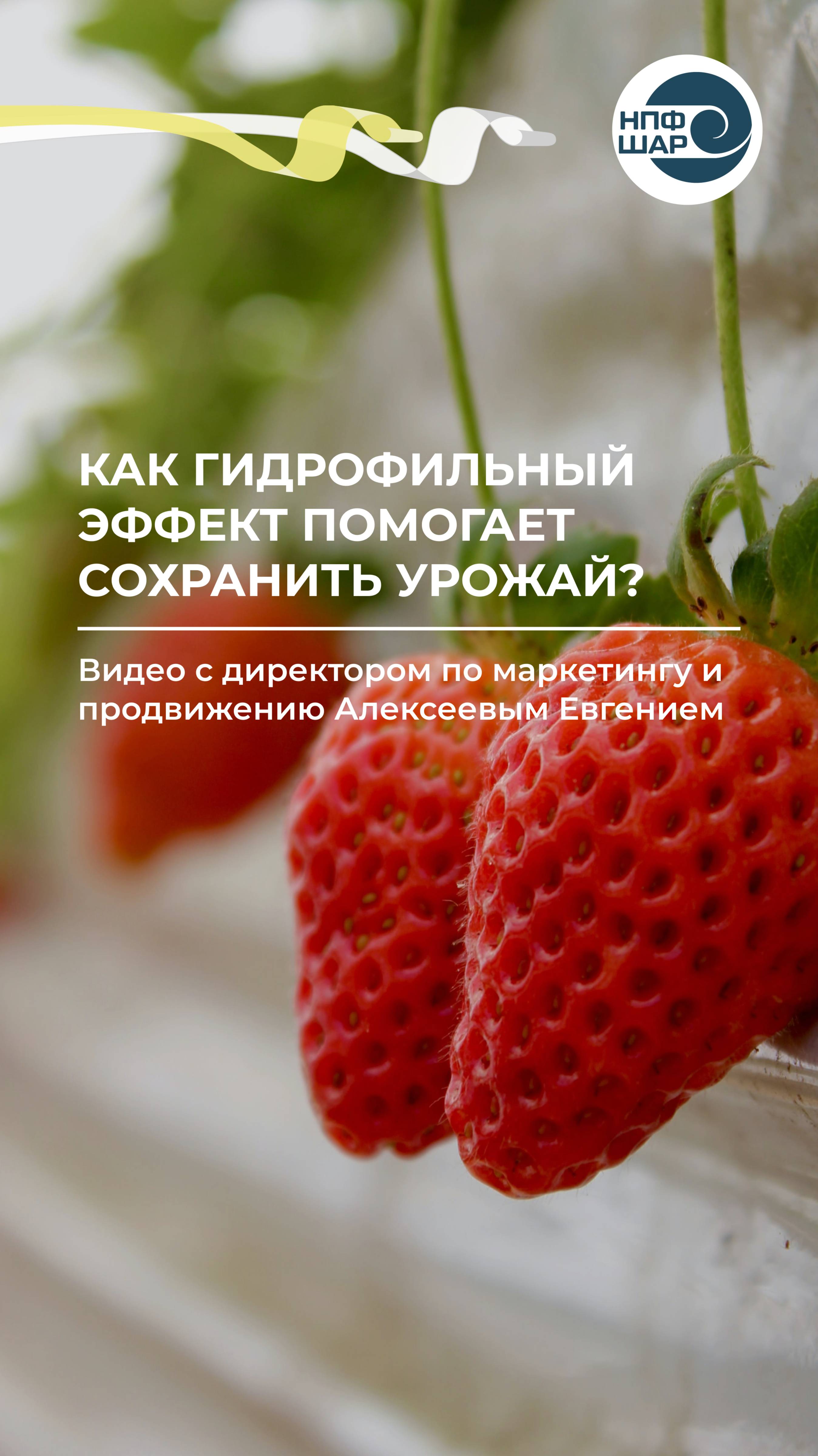Гидрофильный эффект плёнок от НПФ «Шар»: опыт хозяйства «Фермеры Карелии» 🌱⚒️