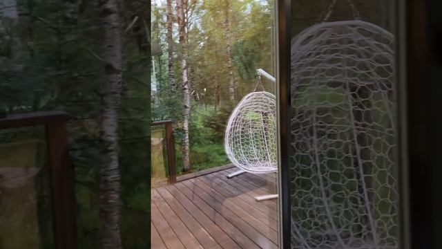 VID_20250616_233530_867.mp4
