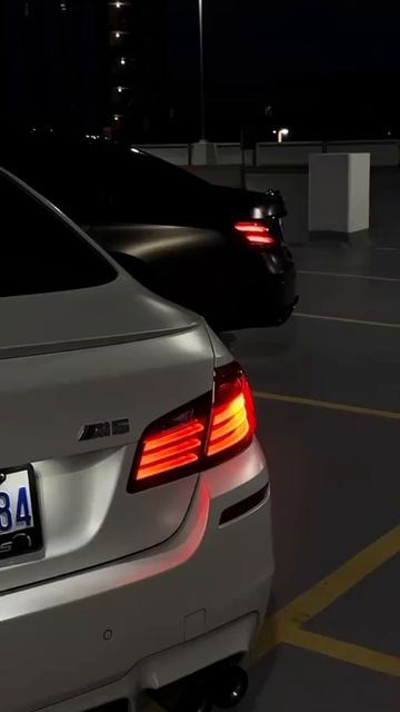 1000036912.mp4