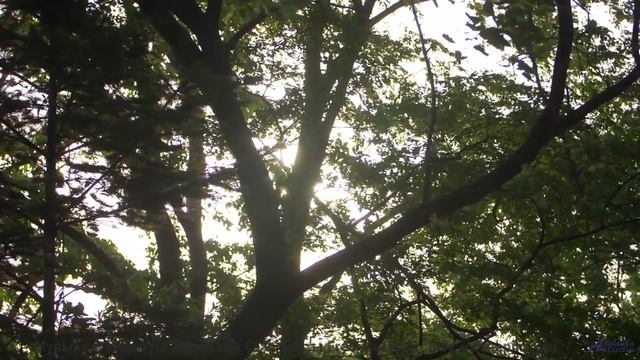Он заставит тебя улыбаться без причины - проверь! - Too Much (makaih.com) -- Makaih Beats -- Too Muc