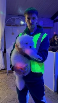 Появления Самоеда в нашей семье!)