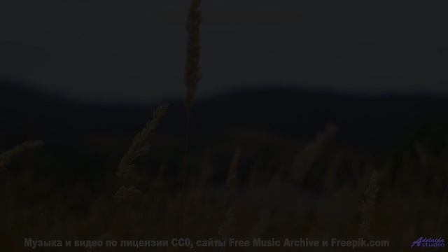 Кадры, снятые на камеру 3023 года - технологии будущего уже здесь! - We-Know -- Ketsa -- Dimensions