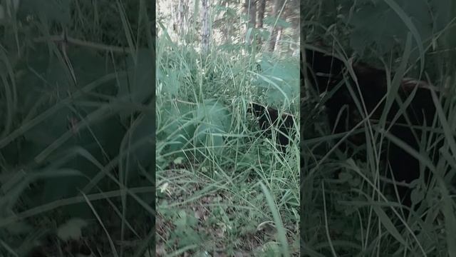 1000005549.mp4