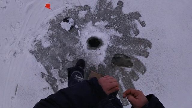Первый лёд! первая щука в этом сезоне!
