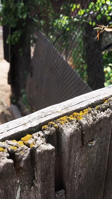 Все на дачу!