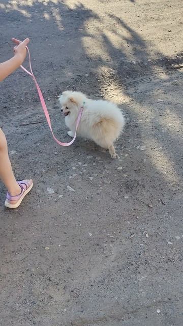 Аня с Бусей