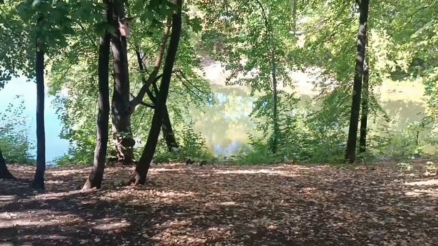 Природа 🌿🍃. здесь я люблю снимать. Парк около пруда. Ну конечно 💯хорошая песня🎤 в помощь...