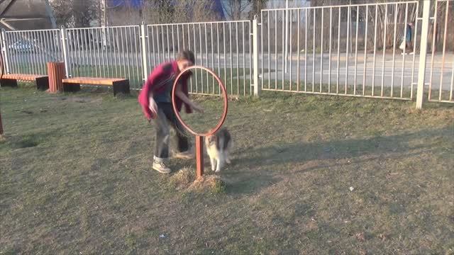 Лета май2019