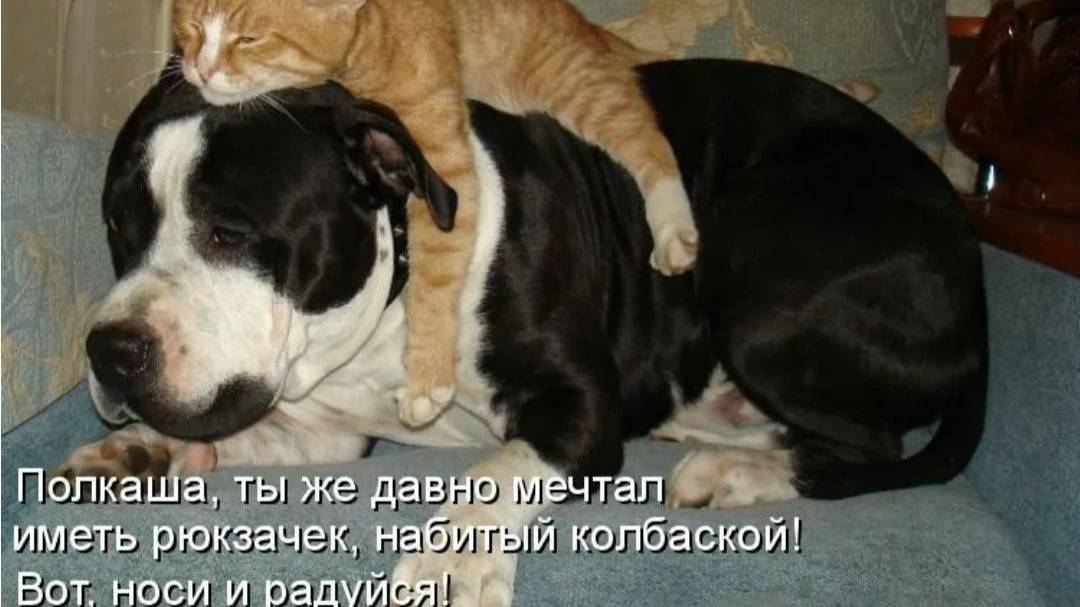 ПРОЕКТ ЛУЧШИЕ ИЗ ЛУЧШИХ