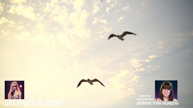💖💥 Два крыла на двоих... согласны?