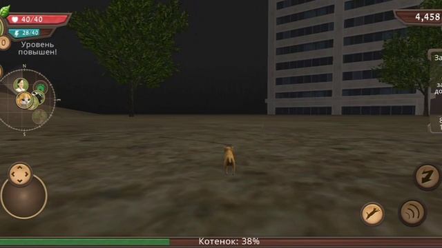 Прокачка от Котят до Взрослых котов🐱 (Cat Sim)