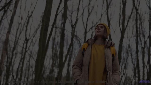Это видео - билет в рай, а музыка - ваш гид! - Triple -- Ketsa -- As Above So Below