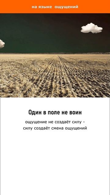 Один в поле не воин
