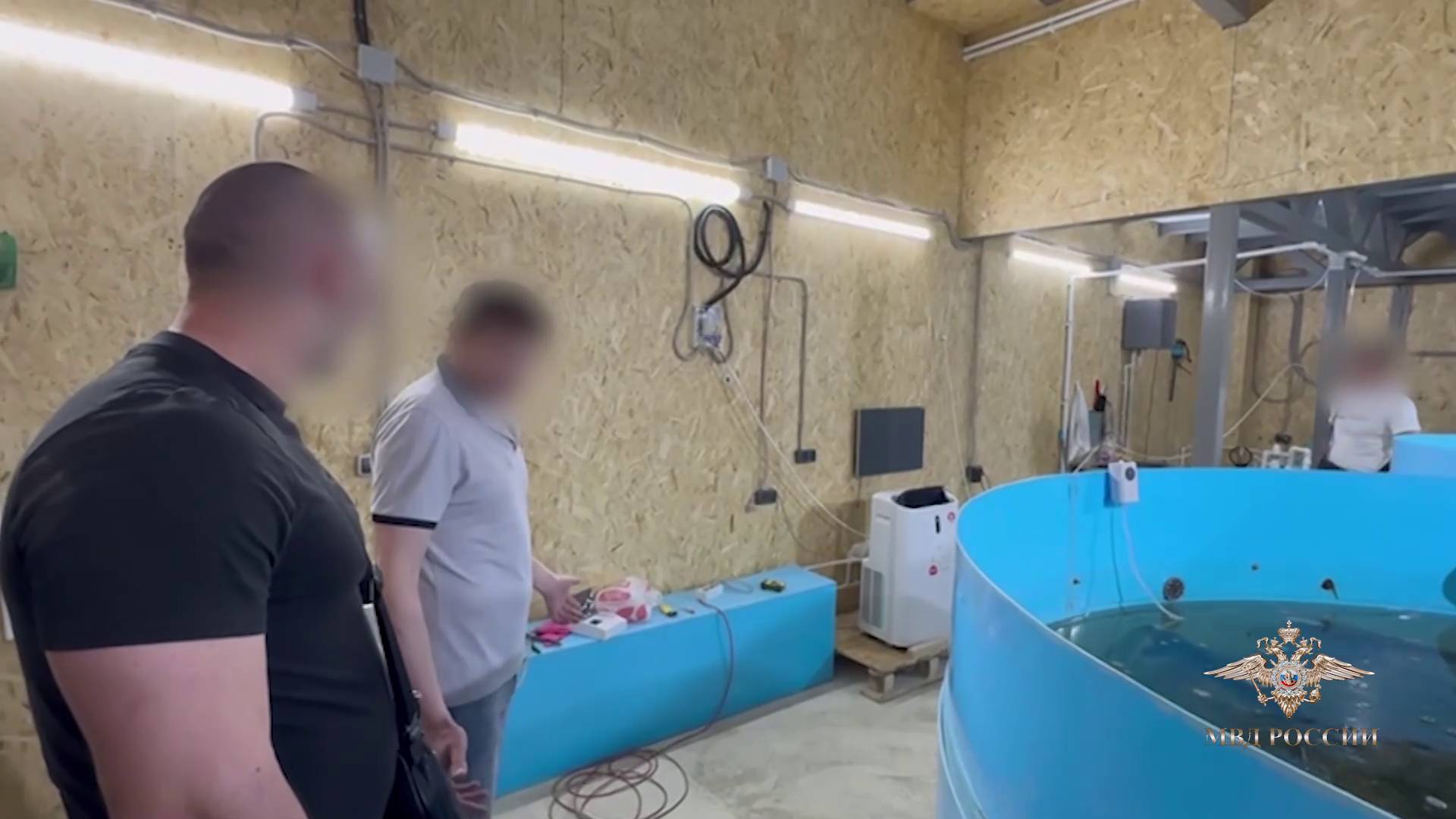 Ирина Волк: В Волгограде полицейские пресекли незаконную деятельность цеха по выращиванию рыб