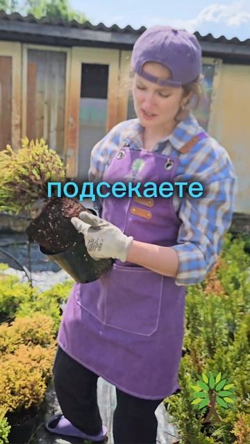 VID_20250614_124204_050