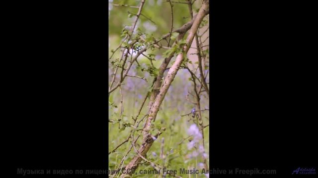 Сердце открывается шире под такую мощную музыку - Powerful Stasis -- Soft and Furious -- You know wh