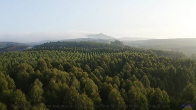 Что не так с этим видео Найдите 10 отличий! - We may be remembered by what we did when we sat down -