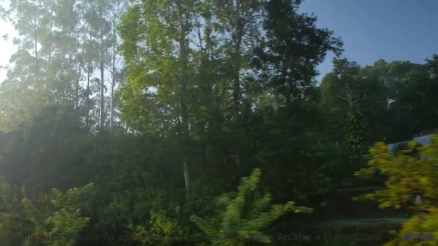 Почему ученые боятся этой комбинации звуков и образов - Te Vas a Olvidar (XXV]) -- opo -- Estudios I