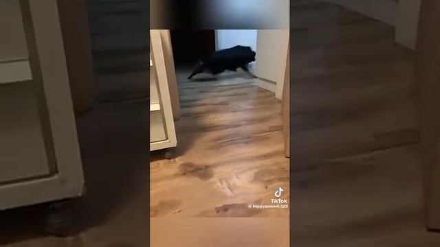 1000030725.mp4