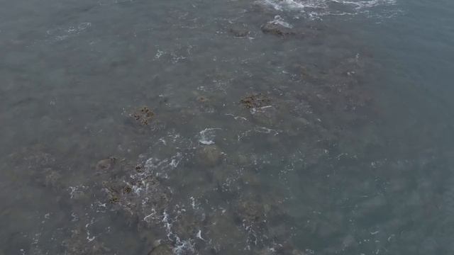 Красота под водой ч34