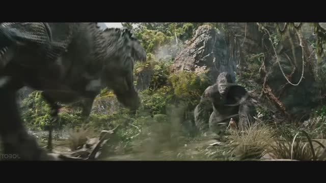Jungles | King Kong