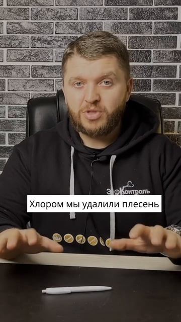 Какое лучшее средство от плесени?