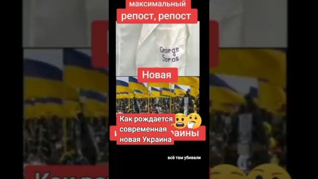 VID_20240618_002942_713.mp4
