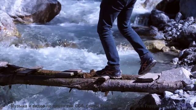 Музыка наполняет сердце полётом при каждом кадре - Appalachian Summer -- One Man Book -- Brand New S