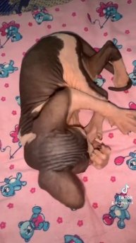 16 июля 2023 г.