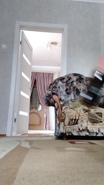 VID_20250617_103347.mp4