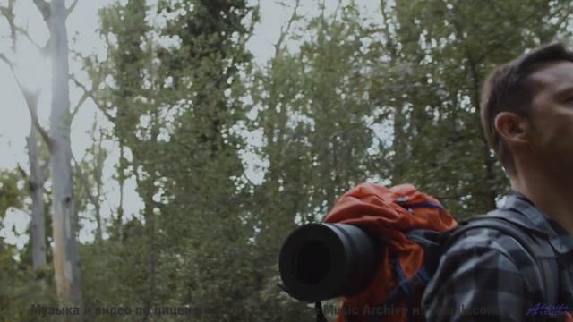 Что скрывается под этой рябью - Лебедь-шипун -- POVALISHIN DIVISION -- Выпускайте Кракена
