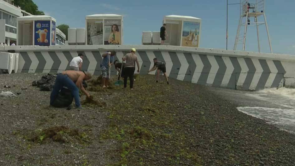 В Сочи проводят уборку на пляжах после непогоды