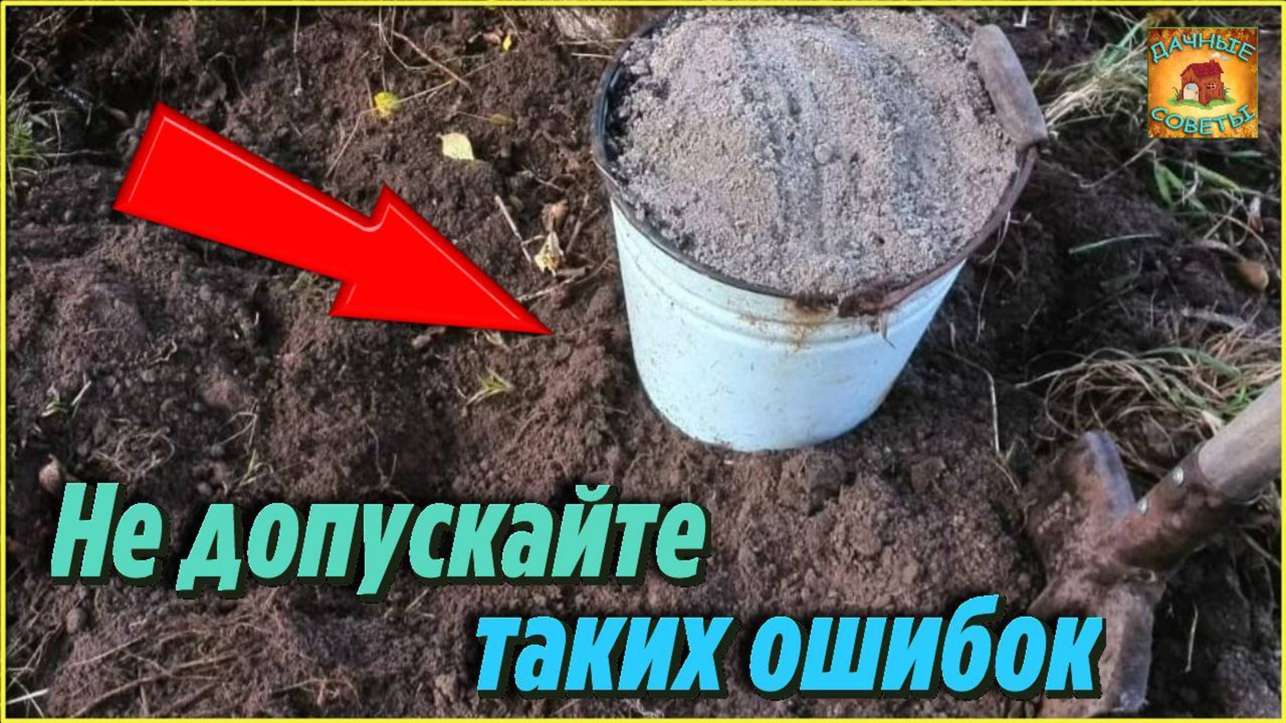 Эти 7 ошибок губят ваш сад! Что нужно сделать осенью, чтобы весной получить взрывной урожай