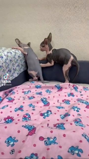 1 марта 2022 г.