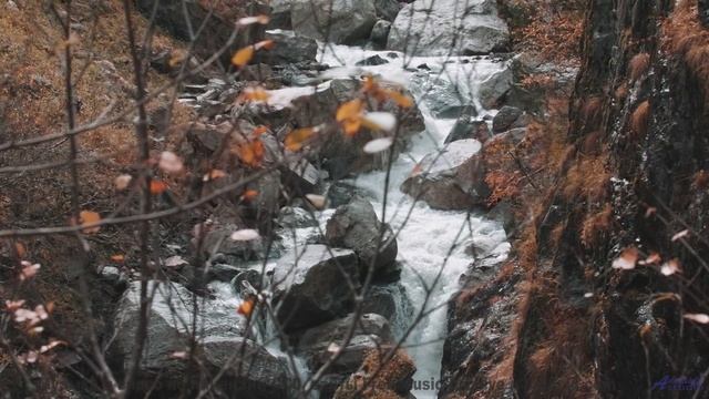 Звуки, создающие материю из пустоты - наука или магия - Dusty Attic -- HoliznaCC0 -- Forager