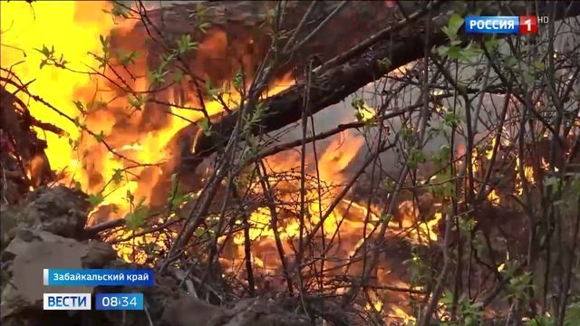 Россия 1_О борьбе  с лесными пожарами в Забайкальском крае (17.06.2025)