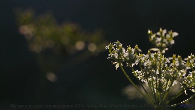 Этот клип докажет - Земля прекраснее любых слов - Ripples -- Ketsa -- Light Rising