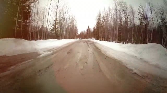 Зимние шины Viatti Bosco Nordico
