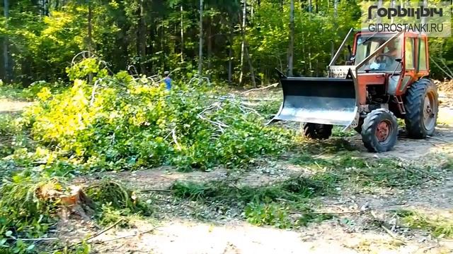 Толкатель Лесной Горыныч Т12-(720p30)
