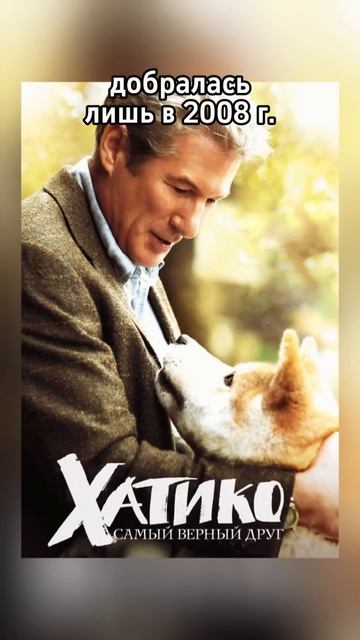 Фильм о собаке