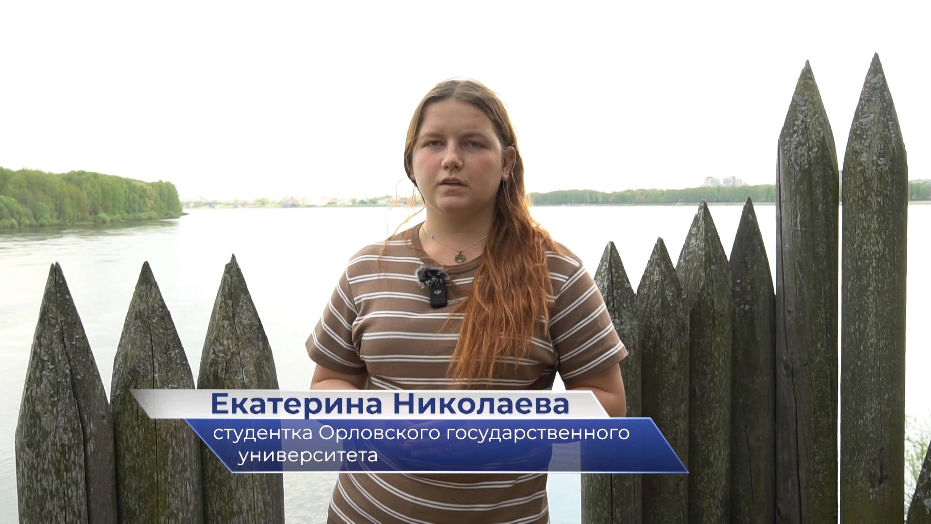 Екатерина Николаева – научно-практическая школа «Средневековая Русь в контексте всемирной истории»