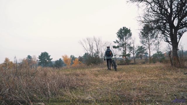 Музыка и кадры сливаются в мощный поток ощущений - Mother Ship Trip ft. The Polish Ambassador - Mast
