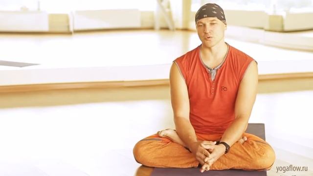 Школа инструкторов йоги. Петербургская школа йоги Yogaflow.