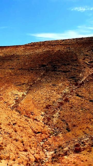 Камера поймала неожиданный момент