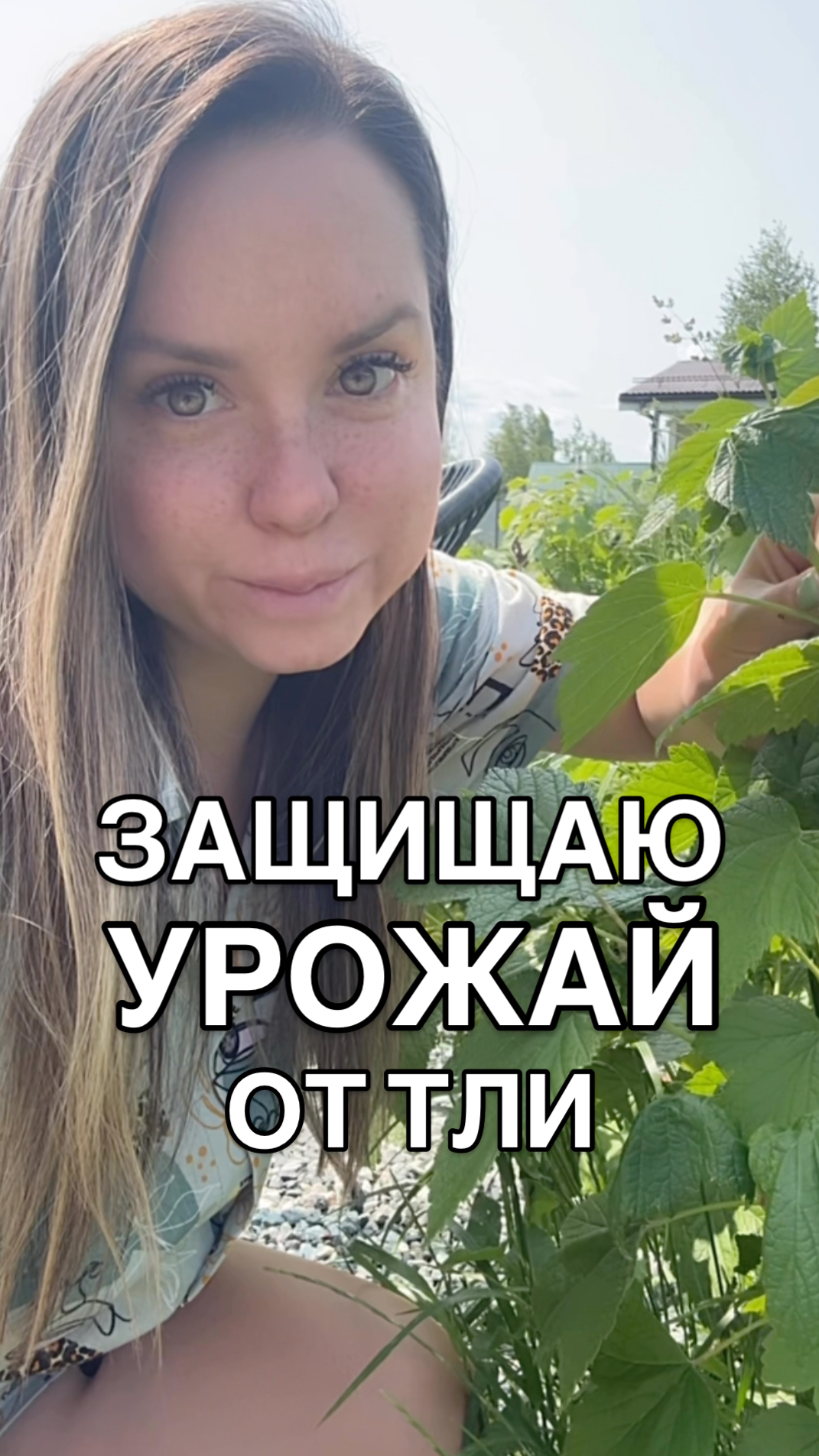 Защищаем урожай от тли