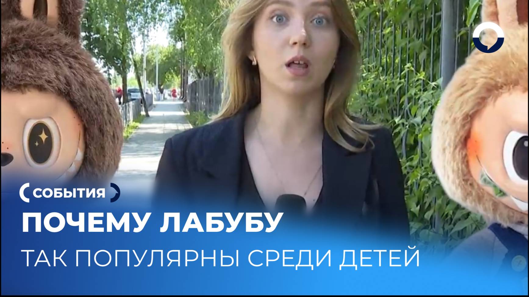 Чем лабубу отличаются от других популярных игрушек