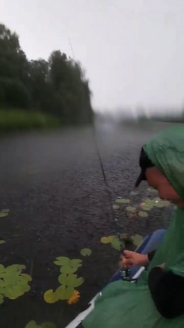 на лесной речке