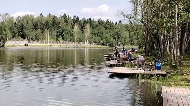 амур