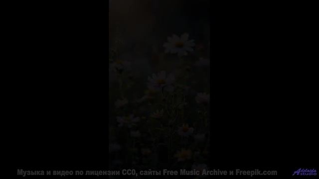Слушайте её вместе - и почувствуйте, как вы становитесь ближе! - Kaamalot -- AKMV-18 -- Damnatio Mem